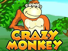 Игровой автомат Crazy Monkey